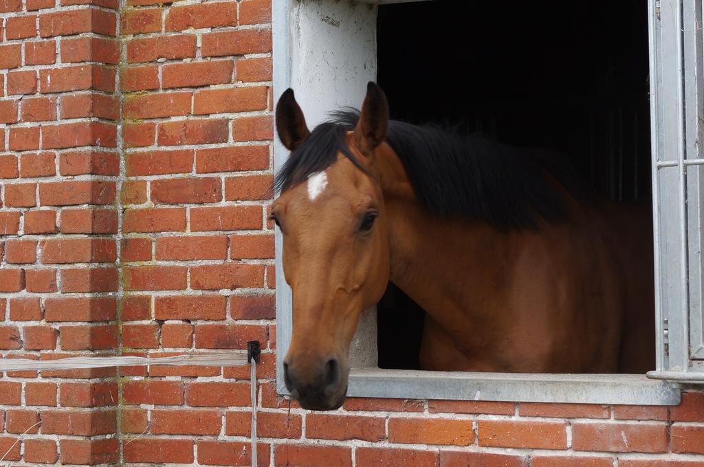 Ferienhof Seelust Gammendorf Bagian luar foto