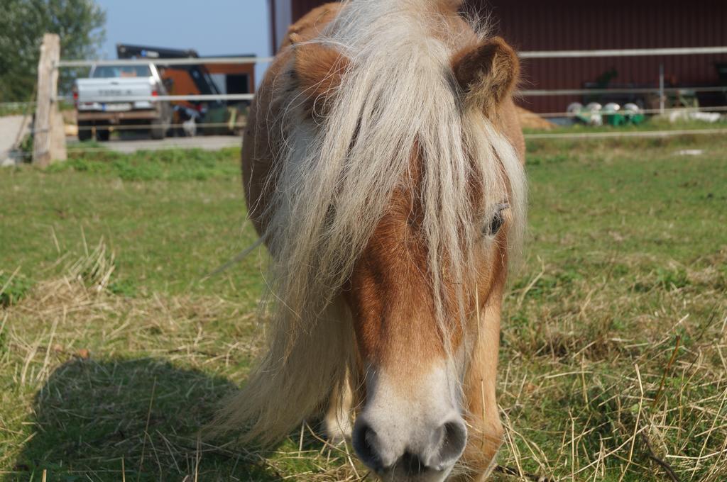 Ferienhof Seelust Gammendorf Bagian luar foto