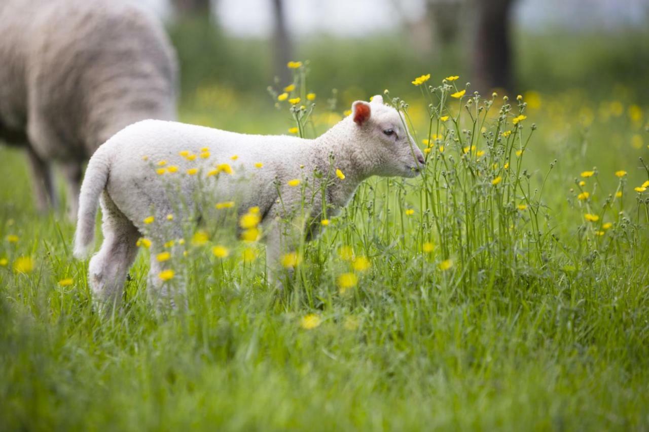 Ferienhof Seelust Gammendorf Bagian luar foto